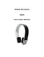 Preview for 20 page of Tiziana T6001 User Manual