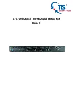 TLS Electronics 875760 Manual preview