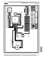 Preview for 101 page of TM RACING 250Fi MX Use And Maintenance Manual