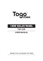 Togo POWER TSP-120F User Manual preview