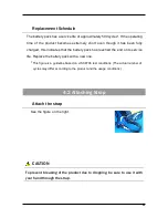 Preview for 36 page of Tokyo Gas Engineering Solutions Corporation Laser Methane Mini Operation Manuals