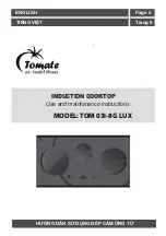 Tomate TOM 03I-8G LUX Use And Maintenance Instructions предпросмотр