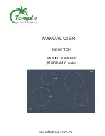 Tomate TOM04I-P User Manual preview