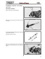 Preview for 80 page of Tomberlin MadAss 50 Repair Instructions