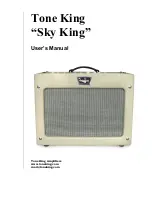 Tone King Tone King "Sky King" User Manual preview