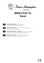 Tonino Lamborghini BRM 5123 TL Vario Translation Of The Original Operating Instructions preview