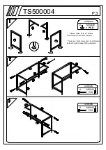 Preview for 3 page of TOPSKY S-203 Quick Start Manual