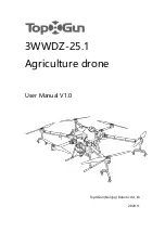 TopXGun 3WWDZ-25.1 User Manual preview