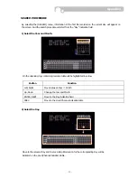 Preview for 33 page of TORCHVIEW CDVR-0402U User Manual