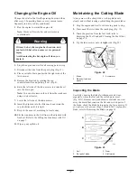 Предварительный просмотр 17 страницы Toro 22175 Operator'S Manual