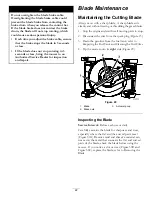 Предварительный просмотр 22 страницы Toro 22179TE Operator'S Manual