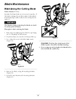 Предварительный просмотр 22 страницы Toro 22186TE Operator'S Manual