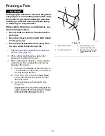 Предварительный просмотр 13 страницы Toro Flex-Force Power System 88714 Operator'S Manual