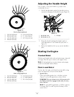 Предварительный просмотр 10 страницы Toro TimeMaster 20199 Operator'S Manual