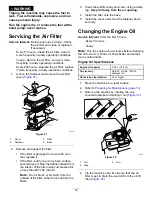 Preview for 21 page of Toro TimeMaster 21199 Manual