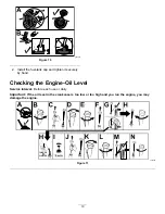 Preview for 10 page of Toro TimeMaster 21199HD Operator'S Manual