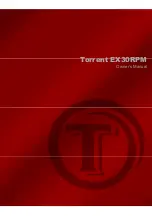 Torrent EX30RPM Owner'S Manual preview