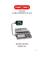 Torrey LSQ-40L Quick Start Manual предпросмотр