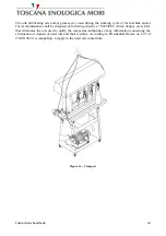 Предварительный просмотр 24 страницы Toscana LINEAR GRAVITY FILLER Instructions For Use And Maintenance Manual