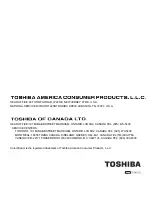 Предварительный просмотр 43 страницы Toshiba 20DL76 Owner'S Manual