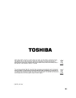 Предварительный просмотр 91 страницы Toshiba 32DV733R Owner'S Manual