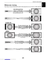 Preview for 25 page of Toshiba 40VL758B Owner'S Manual