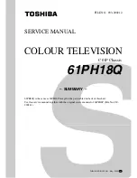 Preview for 1 page of Toshiba 43PH14P Service Manual