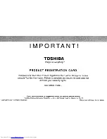 Предварительный просмотр 106 страницы Toshiba 46UX600U Owner'S Manual