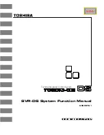 Preview for 1 page of Toshiba 6F8C0791 Manual