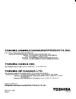 Предварительный просмотр 64 страницы Toshiba ColorStream TP43H60 Owner'S Manual