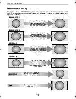 Preview for 22 page of Toshiba CV50* ANALOGUE Series Owner'S Manual