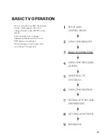 Предварительный просмотр 31 страницы Toshiba DW65X91 Owner'S Manual