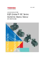 Toshiba EQP Global IEC Series Installation Instructions And Maintenance Manual preview