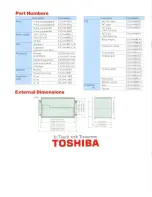 Preview for 8 page of Toshiba EX100 Brochure & S