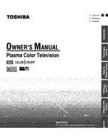 Preview for 1 page of Toshiba Flat Panel Television Owner'S Manual