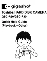 Preview for 248 page of Toshiba Gigashot GSC-R30 Owner'S Manual