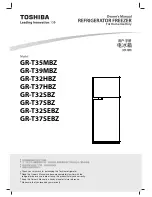 Toshiba GR-T39MBZ Owner'S Manual preview