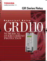 Toshiba GRD110 Manual preview