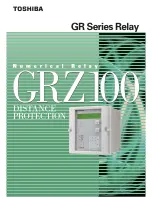 Toshiba GRZ100 Manual preview
