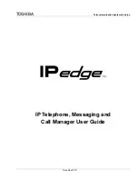 Toshiba IP EDGE User Manual preview