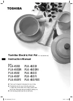 Toshiba PLK-45SD Instruction Manual preview