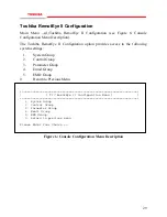 Предварительный просмотр 29 страницы Toshiba RemoteEye II User Manual