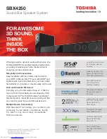 Toshiba SBX4250 Brochure preview