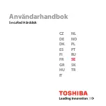 Предварительный просмотр 393 страницы Toshiba SecuRed User Manual