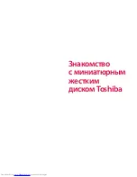 Предварительный просмотр 393 страницы Toshiba Stor E alu User Manual