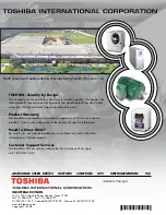 Preview for 6 page of Toshiba T300MVi MEDIUM VOLTAGE Specifications