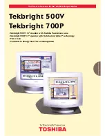 Preview for 1 page of Toshiba Tekbright 500V Specification