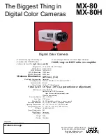 Tote Vision MX-80 Specification Sheet preview