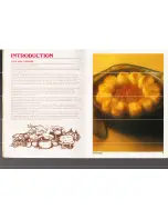 Preview for 1 page of Tower Hobbies Auto Slo-Cooker Recipes & Instructions