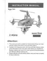 Toyabi Nano King Instruction Manual preview